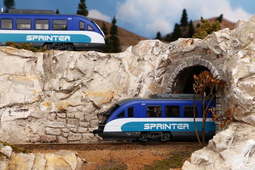 Dieseltriebwagen "Desiro" NCTD Sprinter VI