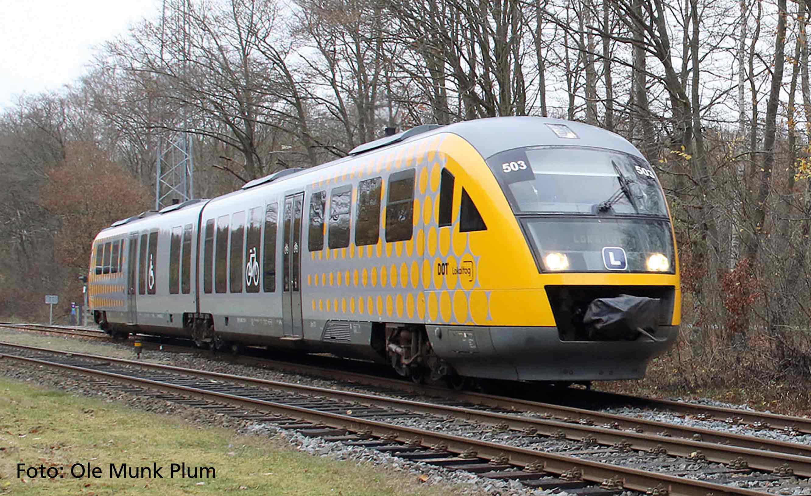 Desiro Dieseltriebwagen