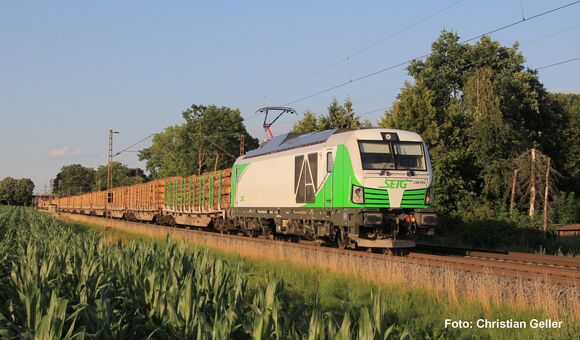 Zweikraftlok "dual mode" BR 248 SETG VI